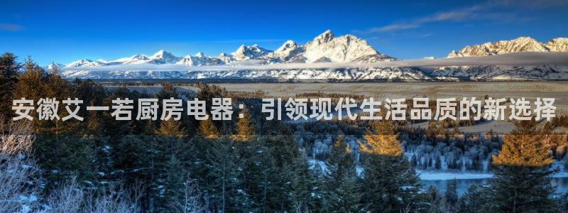 鸿运推单平台