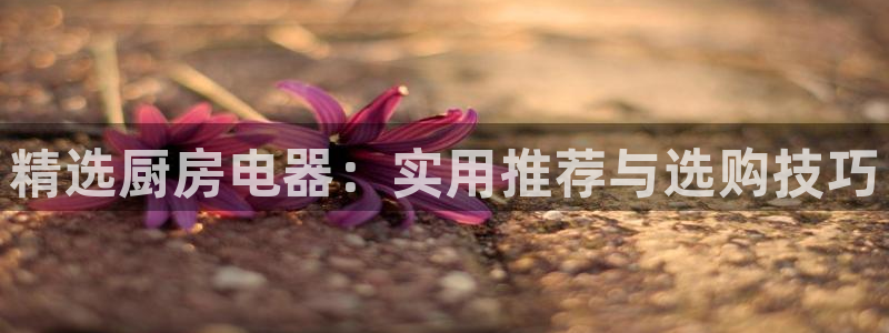 鸿运交易平台