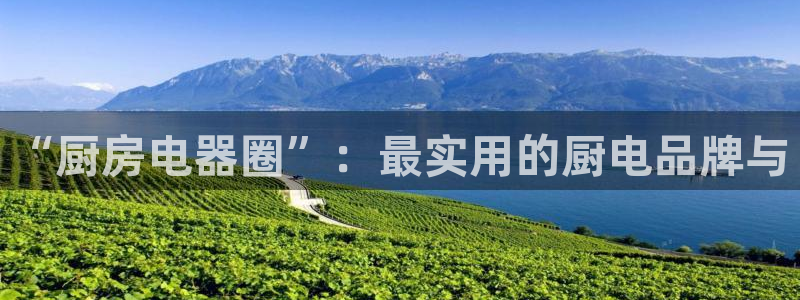 鸿运国际平台网址