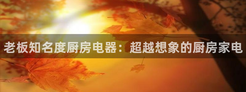 鸿运国际是什么游戏平台
