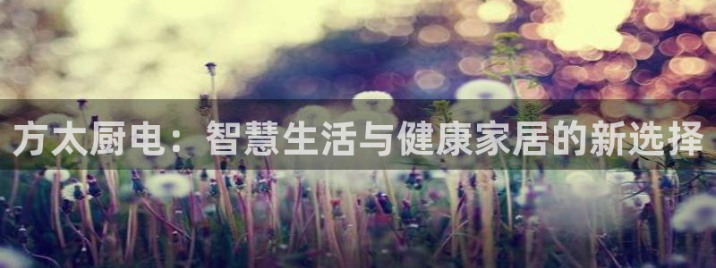 鸿运网站平台