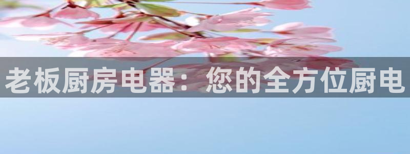 鸿运在线是什么平台