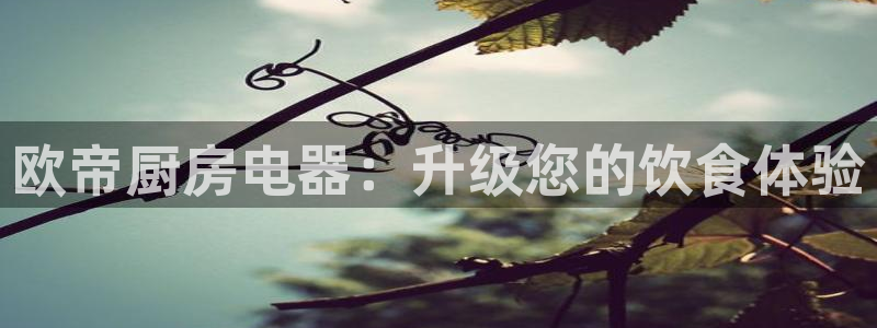 鸿运资本平台被骗