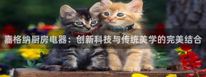 鸿运平台进入官网