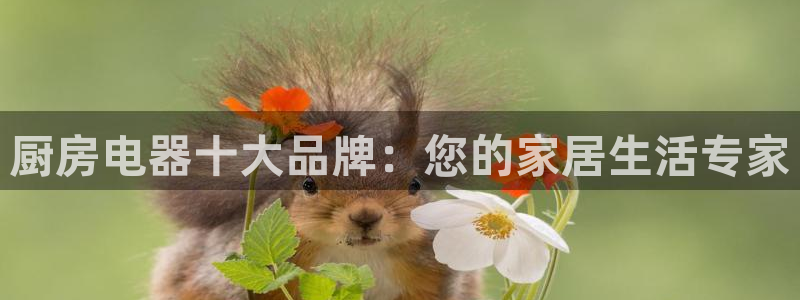 鸿运平台代还骗局
