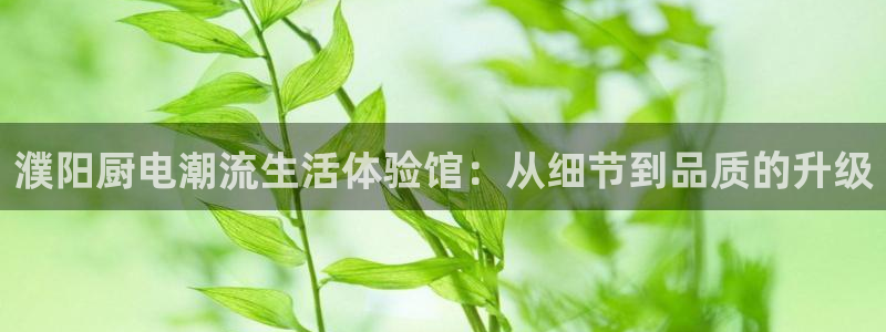 鸿运投资平台是什么