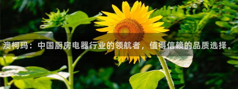 鸿运赌场平台