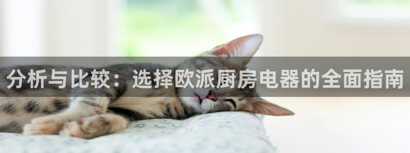 鸿运信息平台