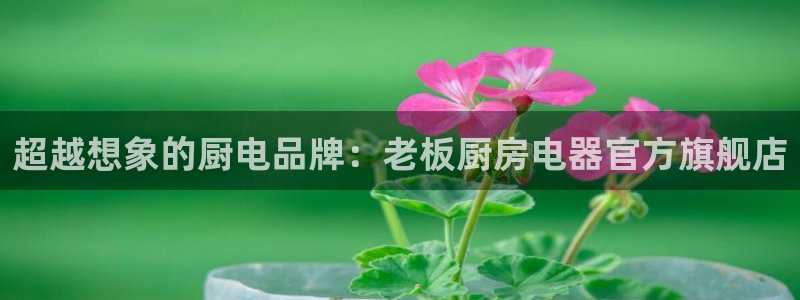 鸿运和拍拍卖平台