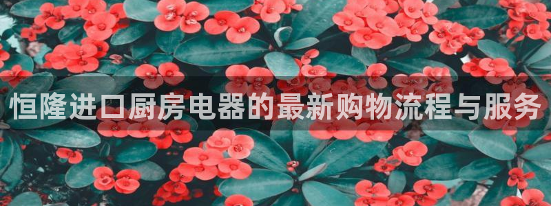 鸿运体育平台网址