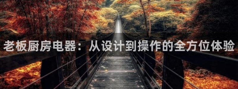 鸿运体育平台网址是什么
