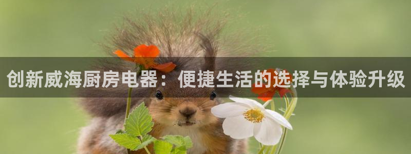 大发鸿运平台