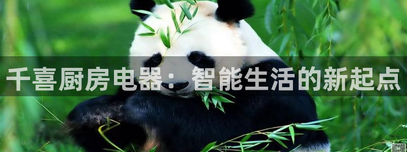 鸿运对战平台