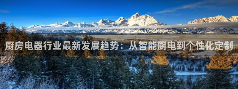国际鸿运官方平台