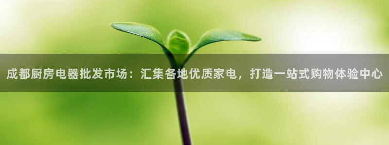 鸿运彩 票诈骗平台