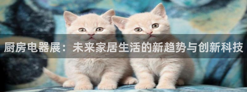 鸿运国际彩票平台