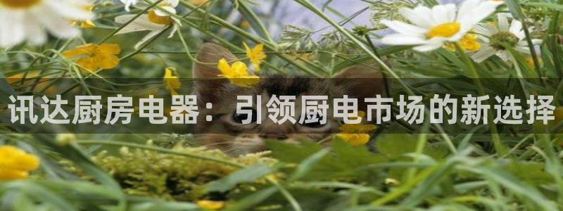 新鸿运娱乐平台