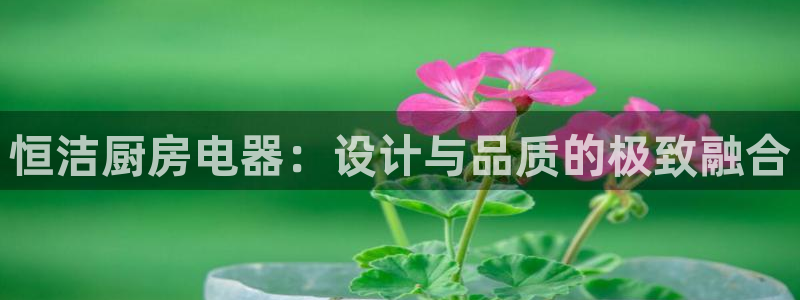 鸿运东方平台网站