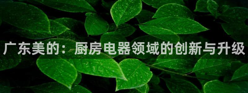 鸿运策略股票平台