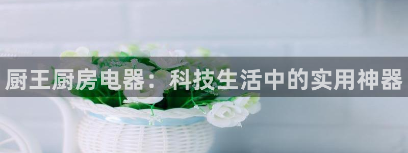 鸿运公司有哪些平台