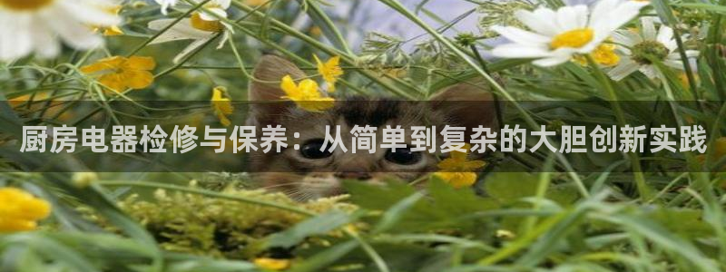 鸿运微交易平台