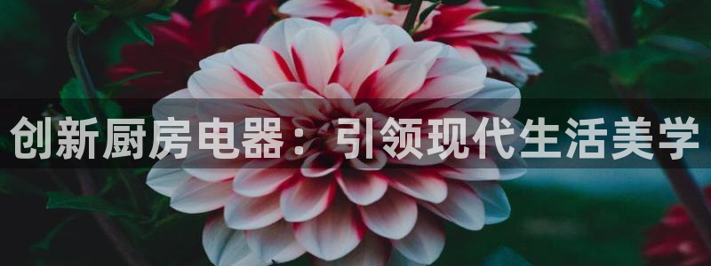 陇原鸿运平台