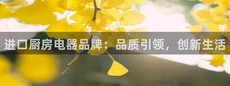 中国鸿运是什么平台
