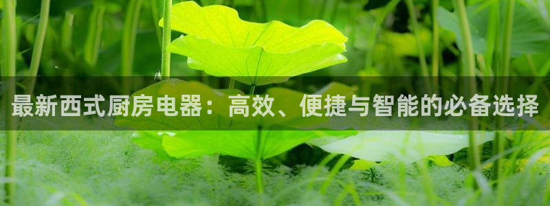 下载鸿运平台