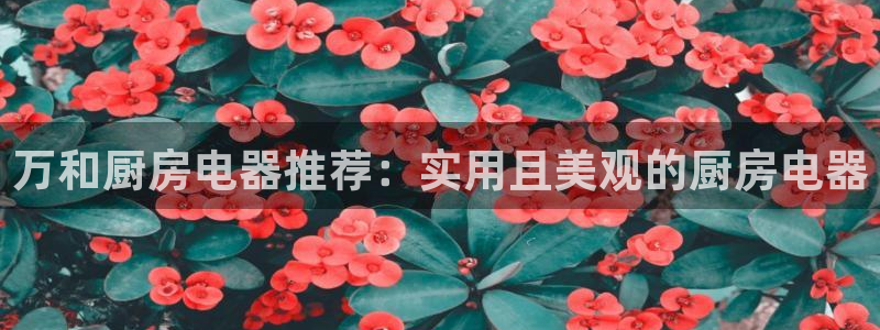 鸿运信息平台
