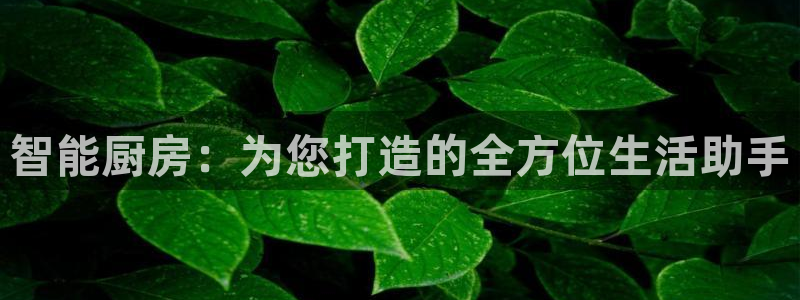 鸿运平台网址