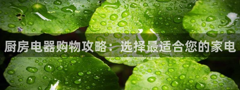 鸿运官网平台