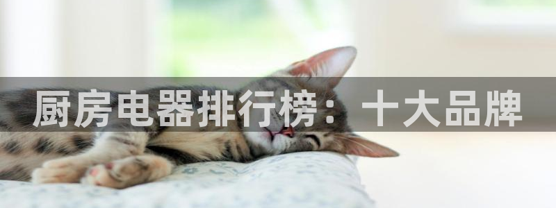 鸿运游戏平台投注