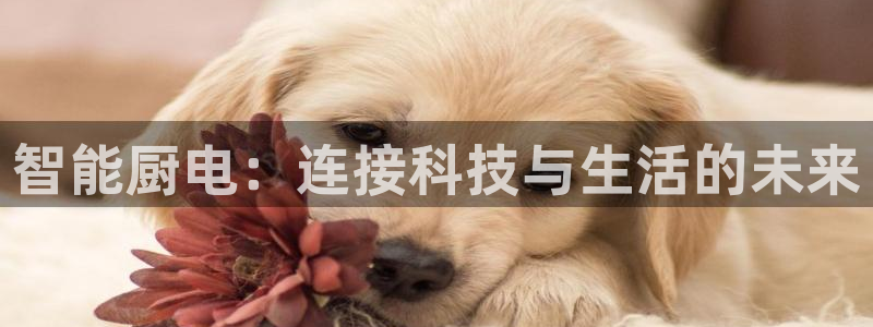 鸿运直播平台ios下载