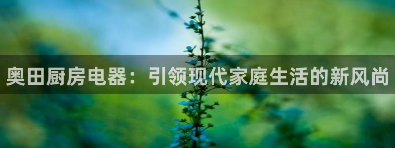 琥珀鸿运平台靠谱吗
