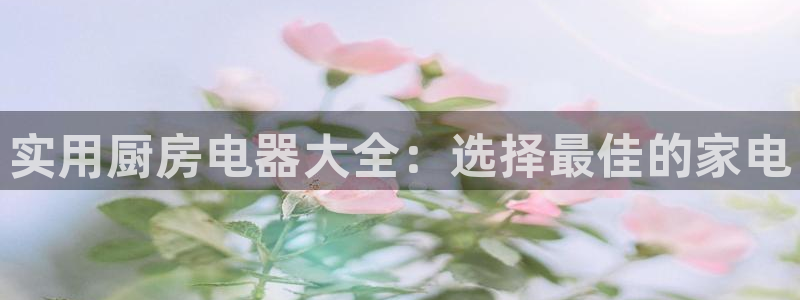 鸿运手游平台