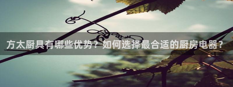 被鸿运平台骗