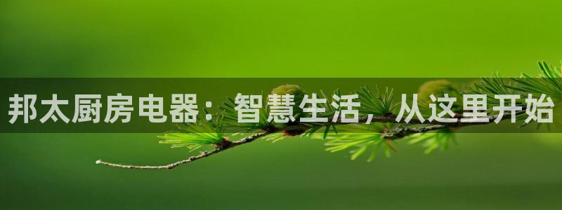 鸿运28平台