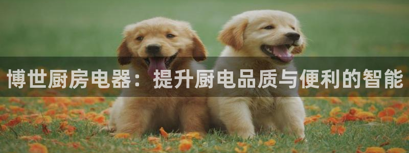 鸿运开的平台