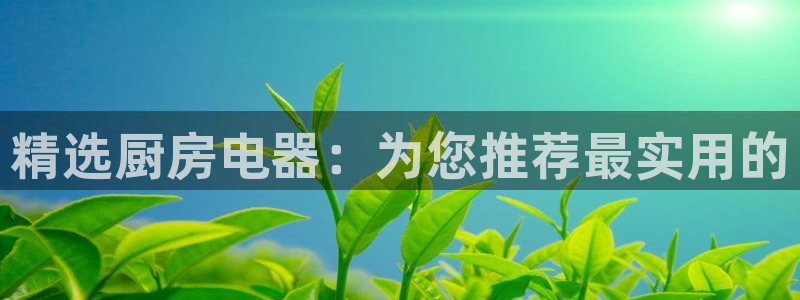 鸿运信息发布平台