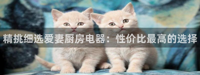 鸿运连连平台