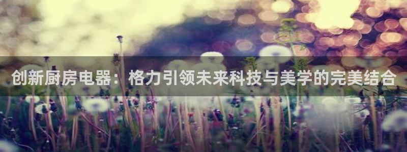 鸿运平台平