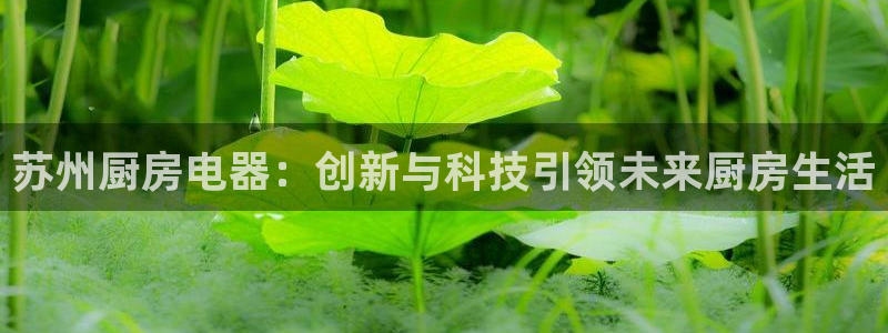 鸿运平台刷单