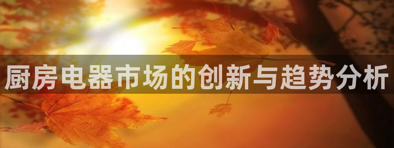 鸿运彩票平台官网