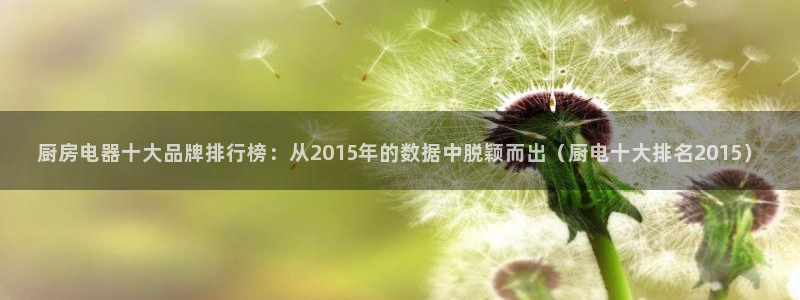 鸿运网投平台