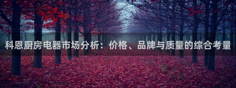 鸿运链锁管理平台