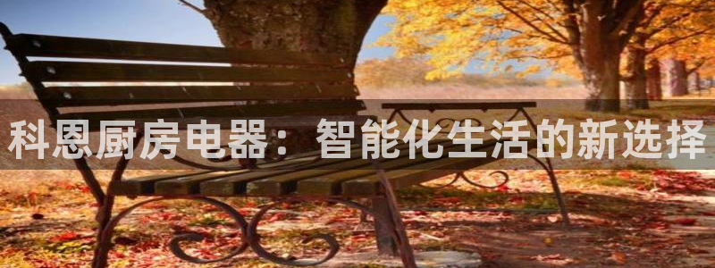 鸿运和拍拍卖平台