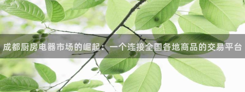 鸿运投资平台是什么平台