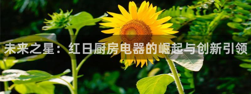 鸿运策略平台股票骗局