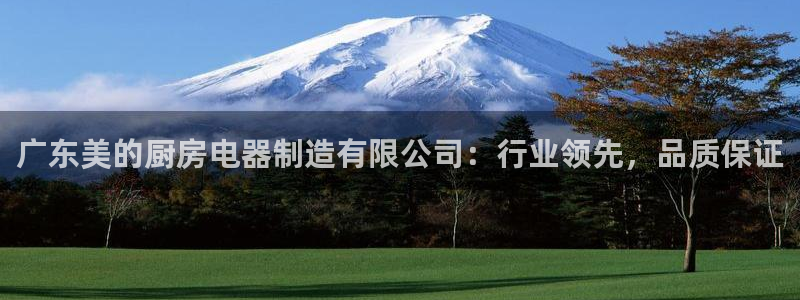 鸿运代还平台