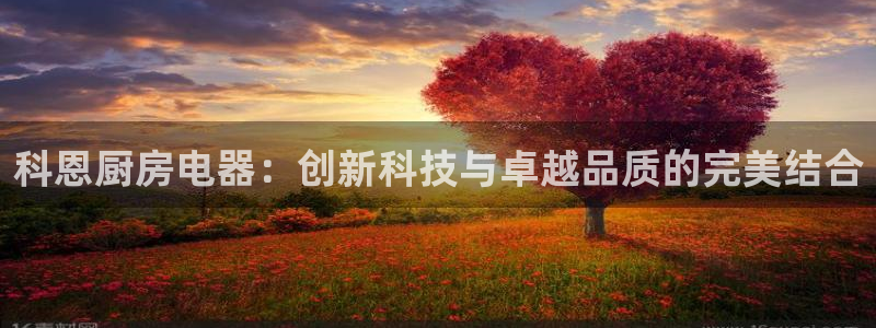 彩鸿运平台
